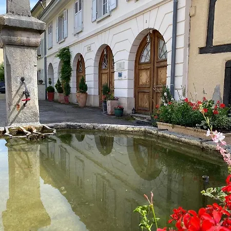 Διαμέρισμα La Maison Des Fontaines D'alsace Ferrette