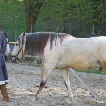La Maison Des Fontaines D'alsace * Ferrette