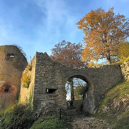 La Maison Des Fontaines D'alsace Appartement