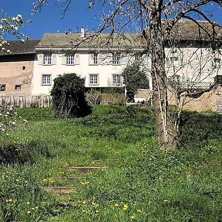 Appartement La Maison Des Fontaines D'alsace