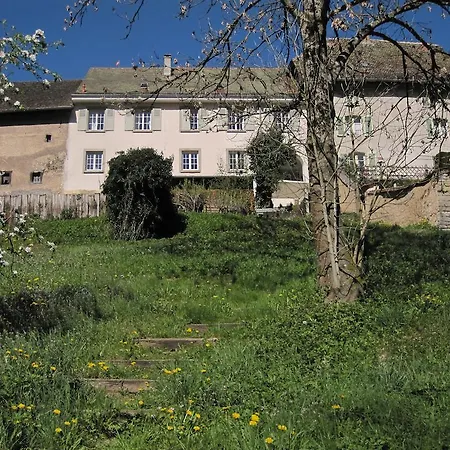 公寓 La Maison Des Fontaines D'alsace