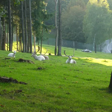 Appartement La Maison Des Fontaines D'alsace
