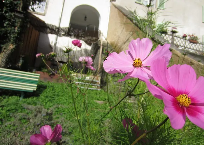 La Maison Des Fontaines D'alsace *