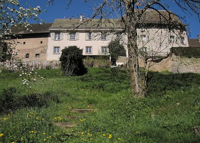 アパート La Maison Des Fontaines D'alsace