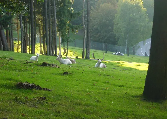 アパート La Maison Des Fontaines D'alsace