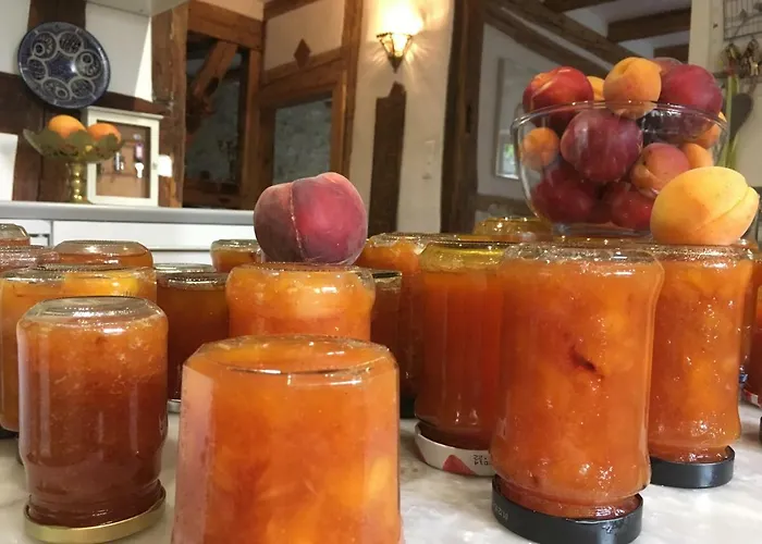 La Maison Des Fontaines D'alsace *